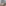 315878914 566155452182248 7597846640991353068 N